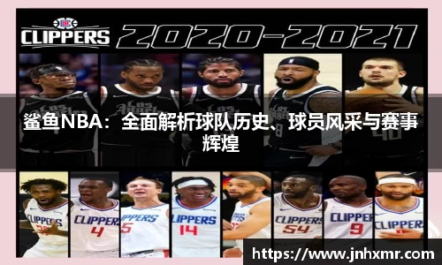 鲨鱼NBA：全面解析球队历史、球员风采与赛事辉煌